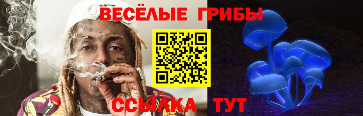 Нижневартовск  Галлюциногенные грибы Psilocybe  Вход с VPN 