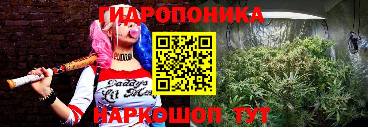 Бошки Шишки планчик Нижневартовск